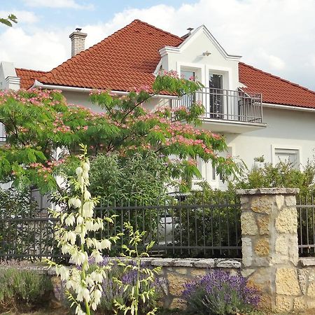 Albizia Apartments بالاتونفوريد المظهر الخارجي الصورة