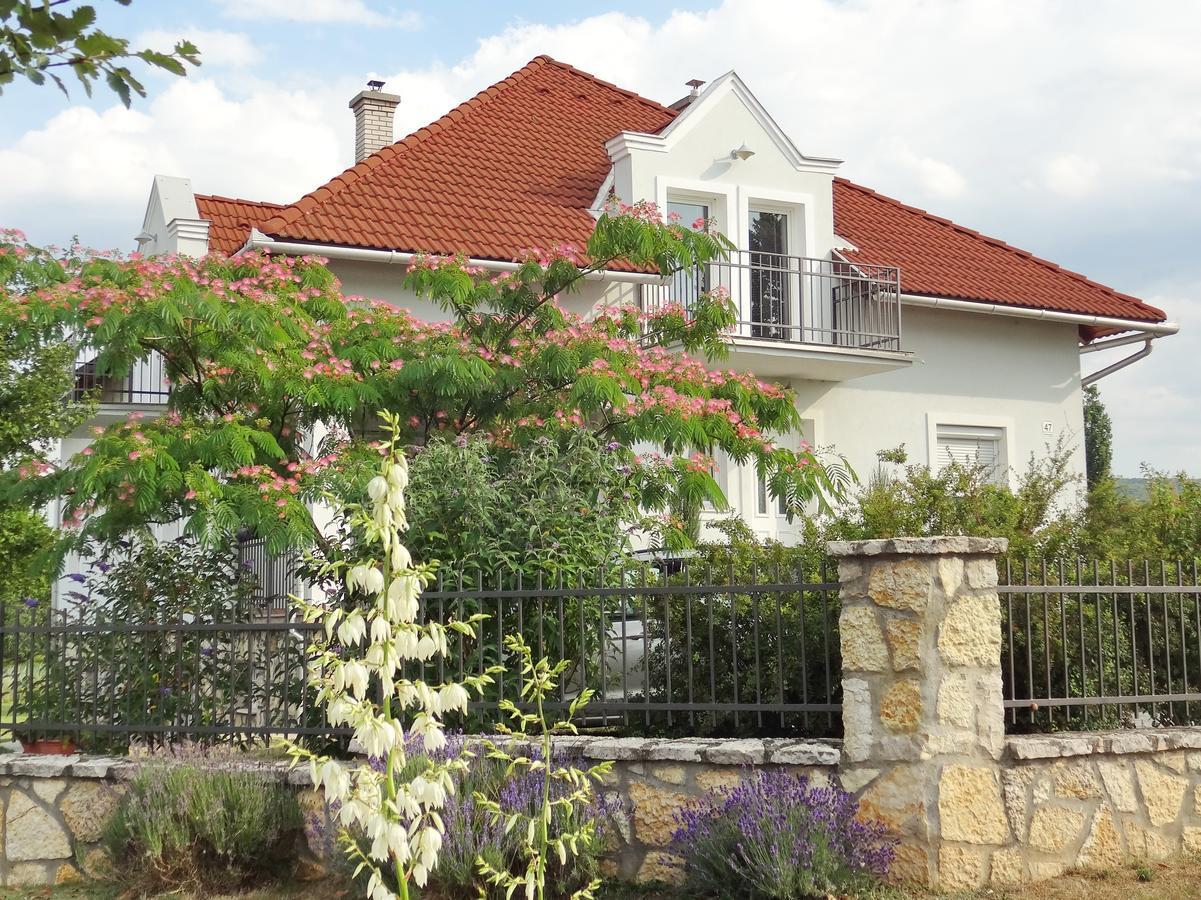 Albizia Apartments بالاتونفوريد المظهر الخارجي الصورة